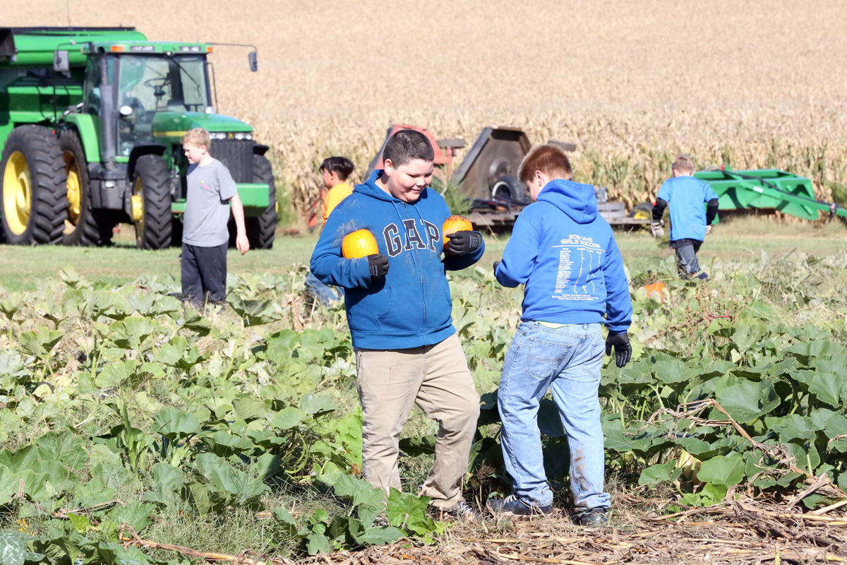 St Joseph Pumpkin Patch (20).jpg